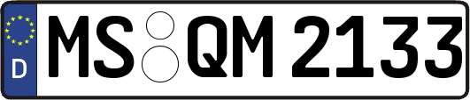 MS-QM2133