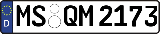 MS-QM2173