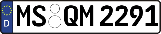 MS-QM2291