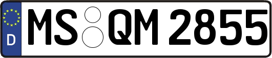 MS-QM2855
