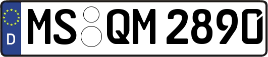 MS-QM2890