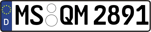 MS-QM2891
