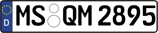 MS-QM2895
