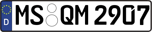 MS-QM2907