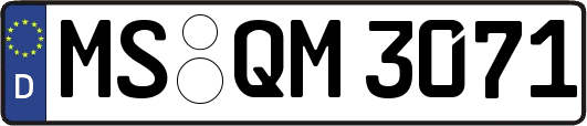 MS-QM3071