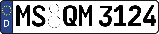 MS-QM3124