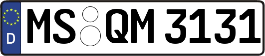 MS-QM3131