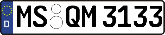 MS-QM3133
