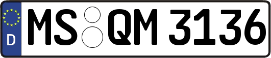 MS-QM3136