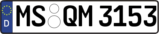MS-QM3153