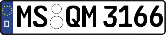 MS-QM3166