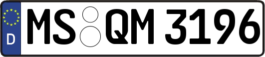MS-QM3196