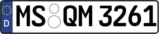 MS-QM3261