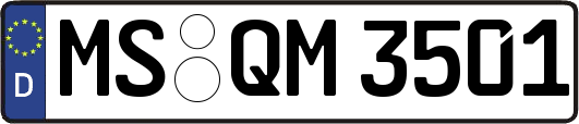 MS-QM3501