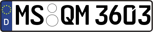 MS-QM3603