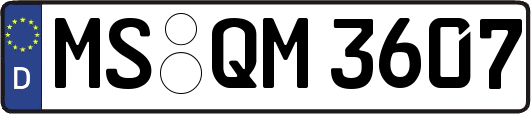 MS-QM3607