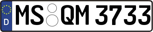 MS-QM3733