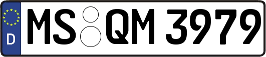 MS-QM3979