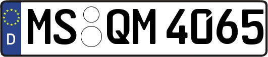 MS-QM4065