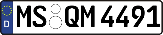MS-QM4491