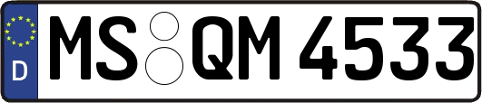 MS-QM4533