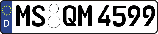 MS-QM4599