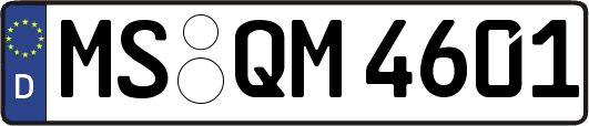 MS-QM4601