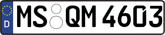MS-QM4603