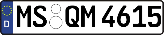 MS-QM4615