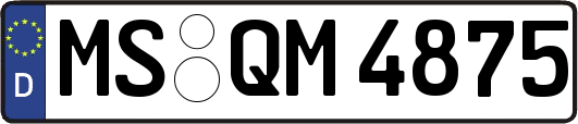 MS-QM4875