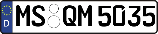 MS-QM5035
