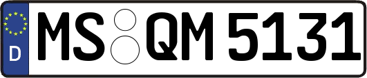 MS-QM5131