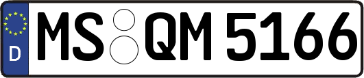 MS-QM5166