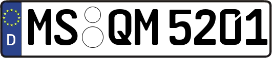 MS-QM5201