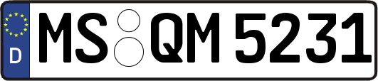 MS-QM5231