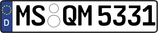 MS-QM5331