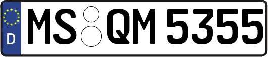 MS-QM5355