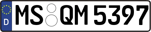 MS-QM5397