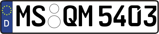 MS-QM5403