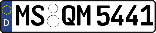 MS-QM5441