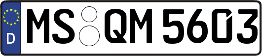 MS-QM5603