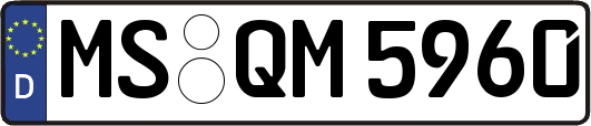 MS-QM5960