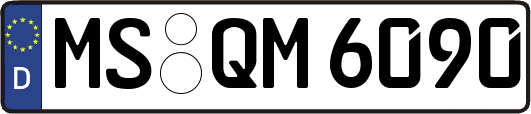 MS-QM6090