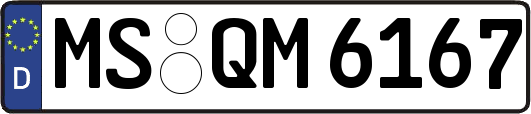 MS-QM6167