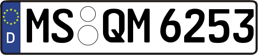 MS-QM6253