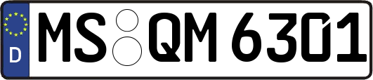 MS-QM6301