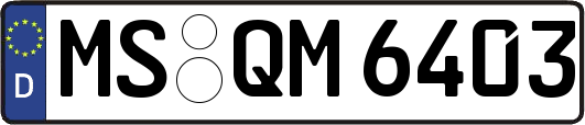 MS-QM6403