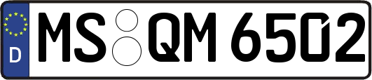 MS-QM6502