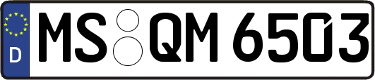 MS-QM6503