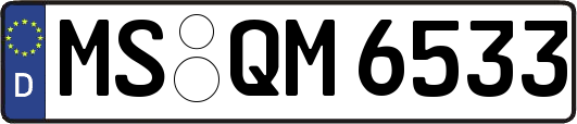 MS-QM6533